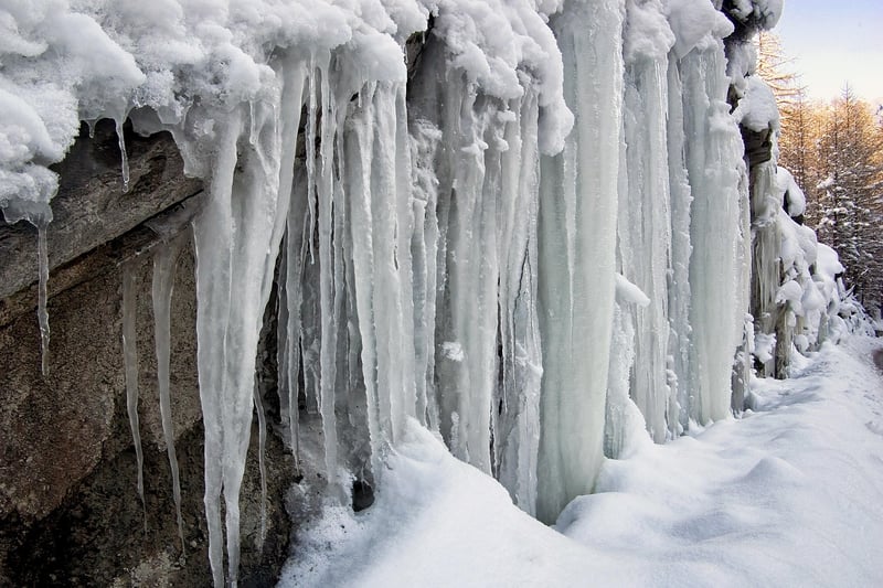 Winter Garden
